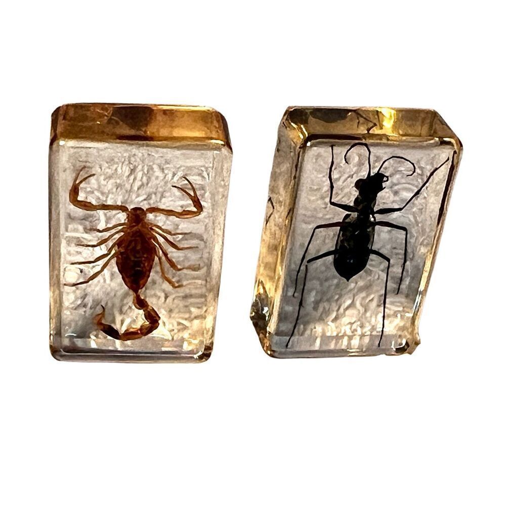 Vintage Set of SCORPION & Insect In Resin Plastic  Desktop  Paperweight Paper We